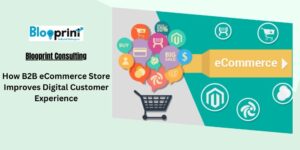 Read more about the article How B2B eCommerce Store Improves Digital Customer Experience